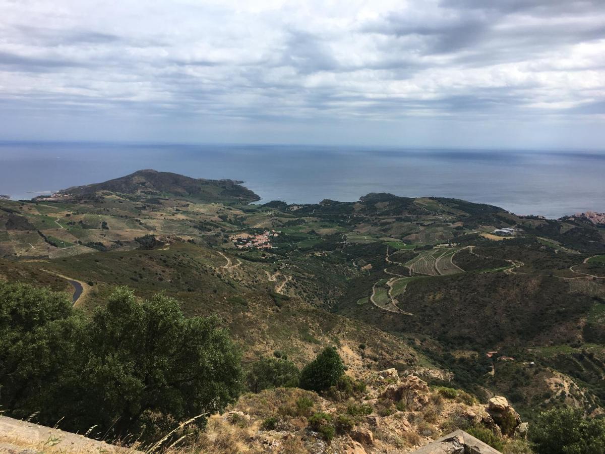 Vue Mer Panoramique Exceptionnelle L T2 Mezzanine Luxueux Banyuls-sur-Mer Kültér fotó