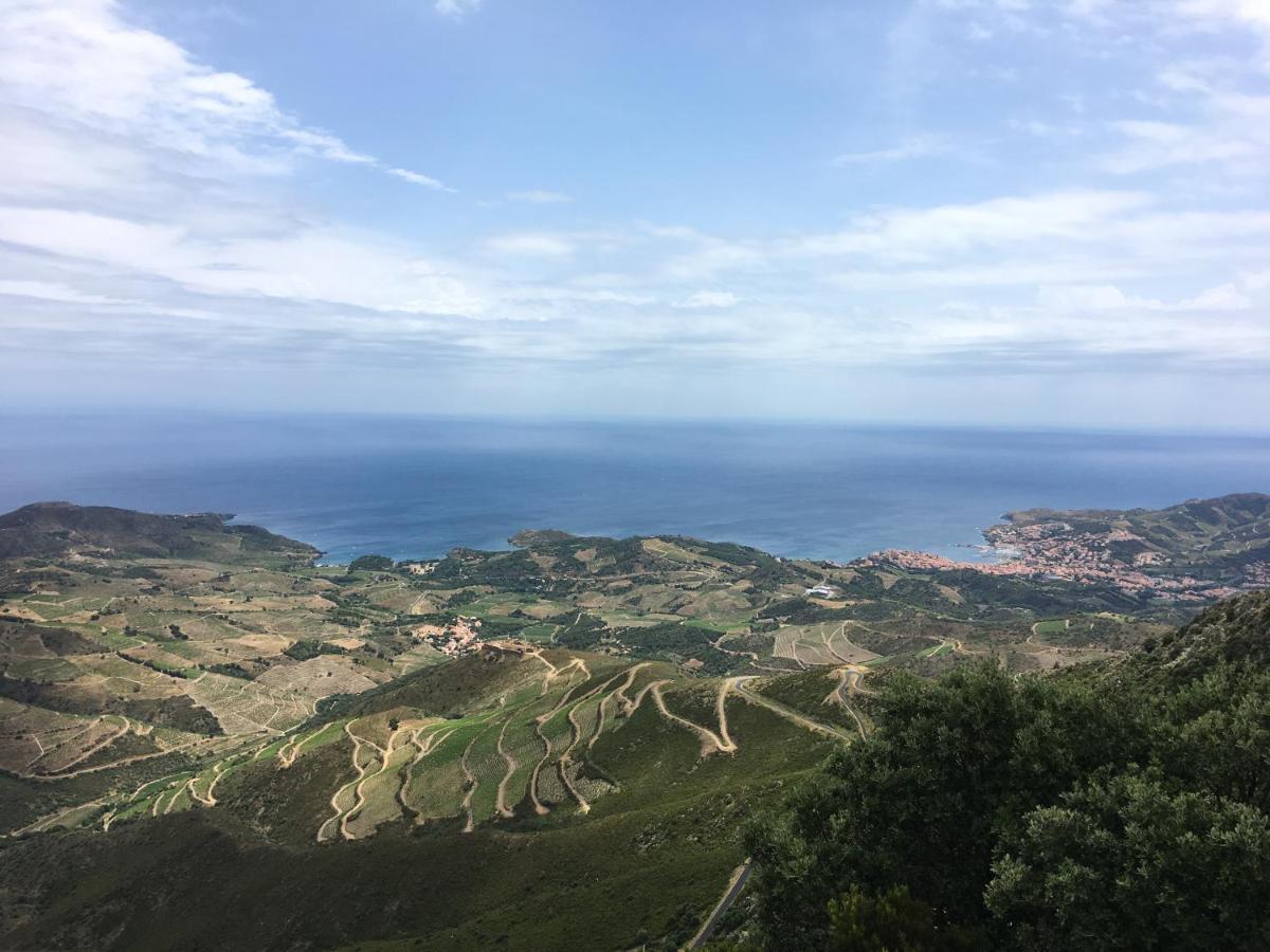 Vue Mer Panoramique Exceptionnelle L T2 Mezzanine Luxueux Banyuls-sur-Mer Kültér fotó